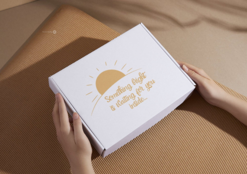  Boîte carton avec fermeture renforcée | PIT Packaging.be/fr | Paysdesenveloppes