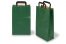 Sacs papier kraft avec anses plates - vert, 220 x 105 x 360 mm | PIT Packaging.be/fr | Paysdesenveloppes