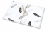Vloeipapier - als cadeauverpakking | PIT Packaging.be | Enveloppenland