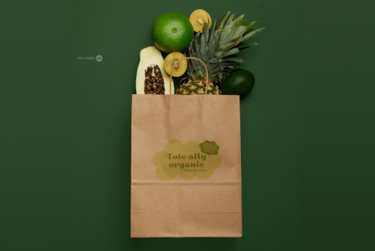 Papieren draagtassen gedraaide handgreep | PIT Packaging.be | Enveloppenland