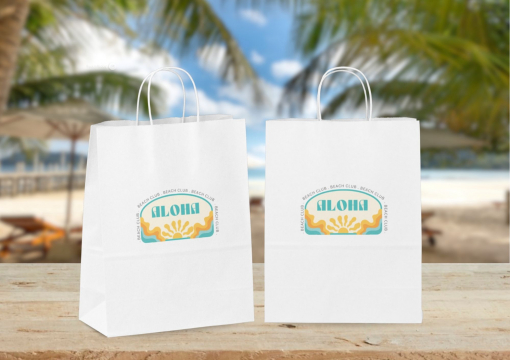  Sacs papier kraft avec anses rondes | PIT Packaging.be/fr | Paysdesenveloppes