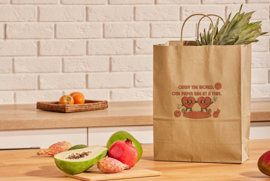 Papieren draagtassen gedraaide handgreep | PIT Packaging.be | Enveloppenland