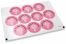 Sluitzegels communie - mi primera comunión roze kruis | PIT Packaging.be | Enveloppenland