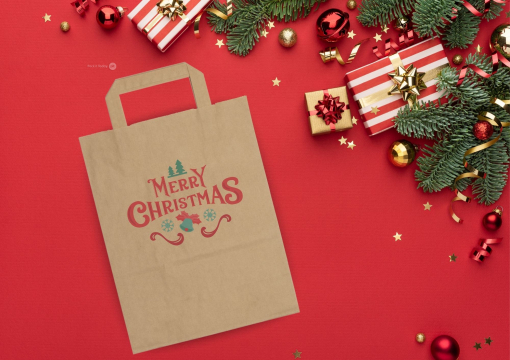 Sacs papier kraft avec anses plates | PIT Packaging.be/fr | Paysdesenveloppes